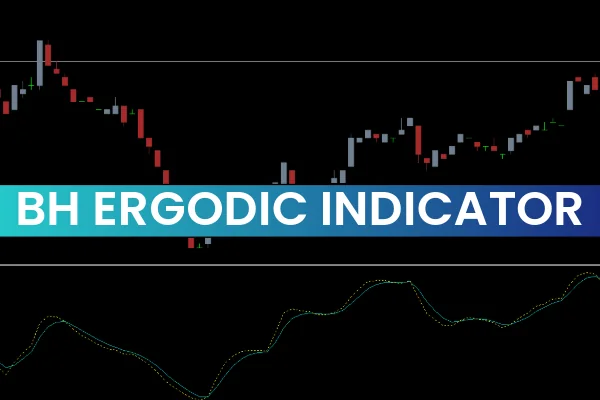 BH Ergodic Indicator