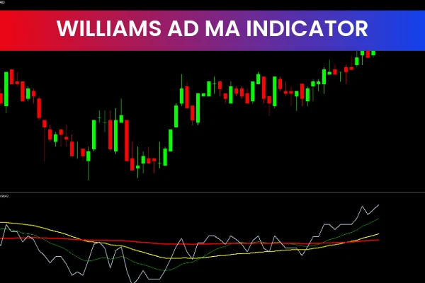 Williams Ad Ma