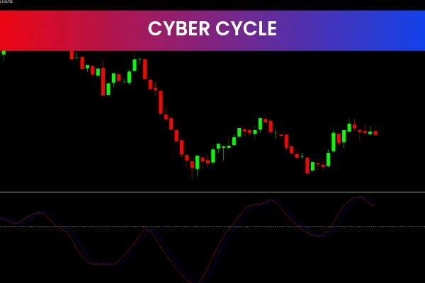 Cyber Cycle