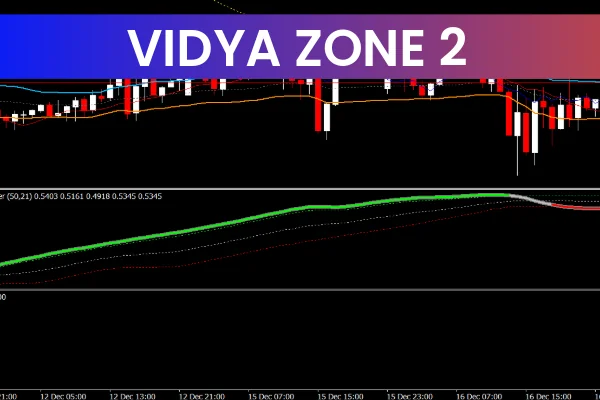 Vidya Zone