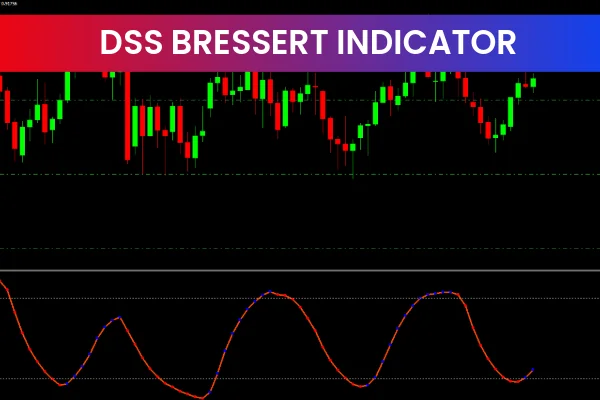 DSS Bressert