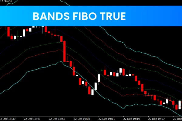 Bands Fibo True