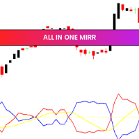 All In One Mirr