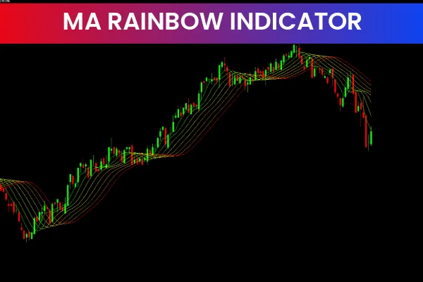 MA Rainbow