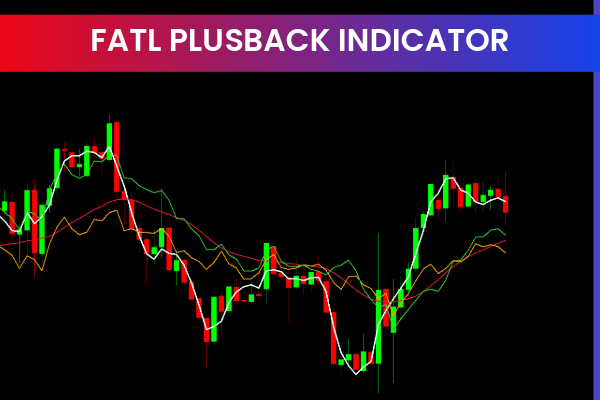 Fatl Plusback